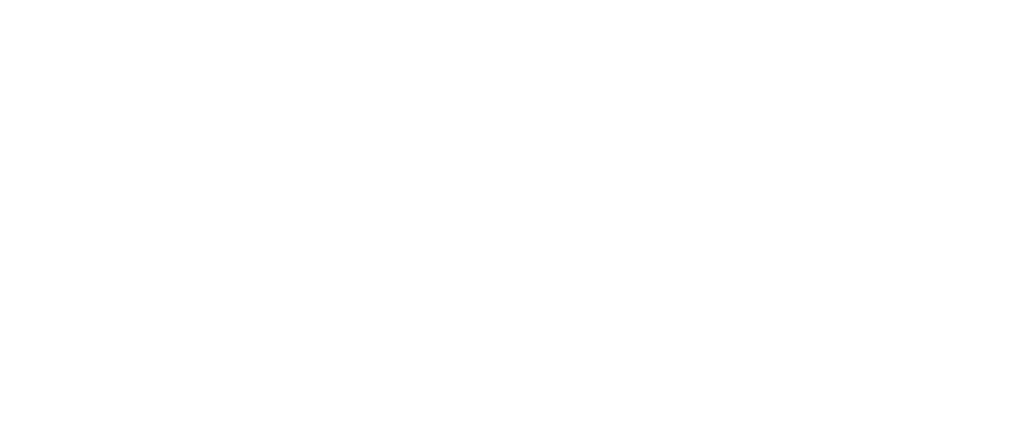 Big Partners